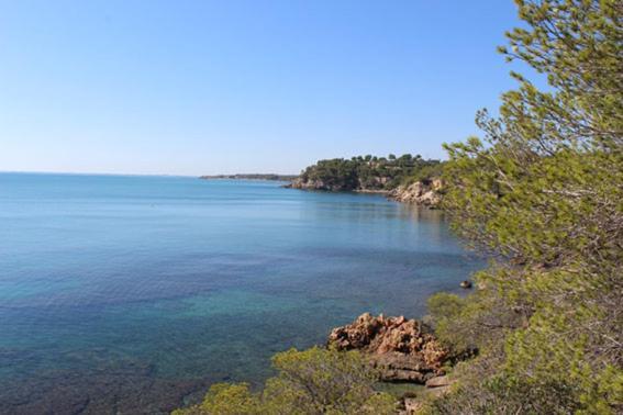 Casita De Pescadores Con Vista Al Puerto Διαμέρισμα L'Ametlla de Mar Εξωτερικό φωτογραφία