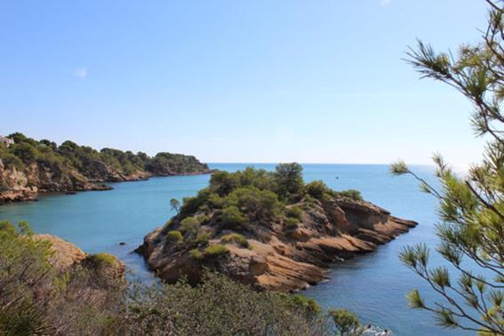 Casita De Pescadores Con Vista Al Puerto Διαμέρισμα L'Ametlla de Mar Εξωτερικό φωτογραφία
