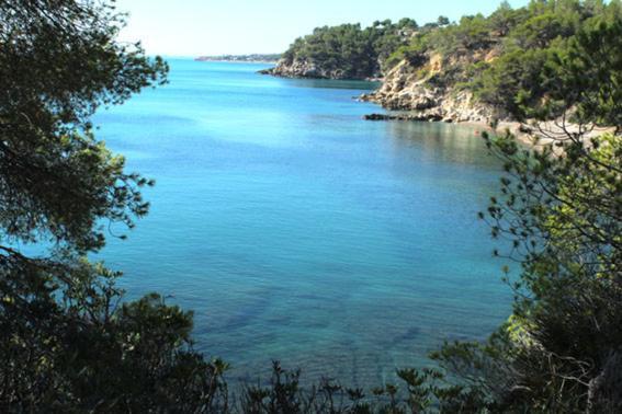 Casita De Pescadores Con Vista Al Puerto Διαμέρισμα L'Ametlla de Mar Εξωτερικό φωτογραφία